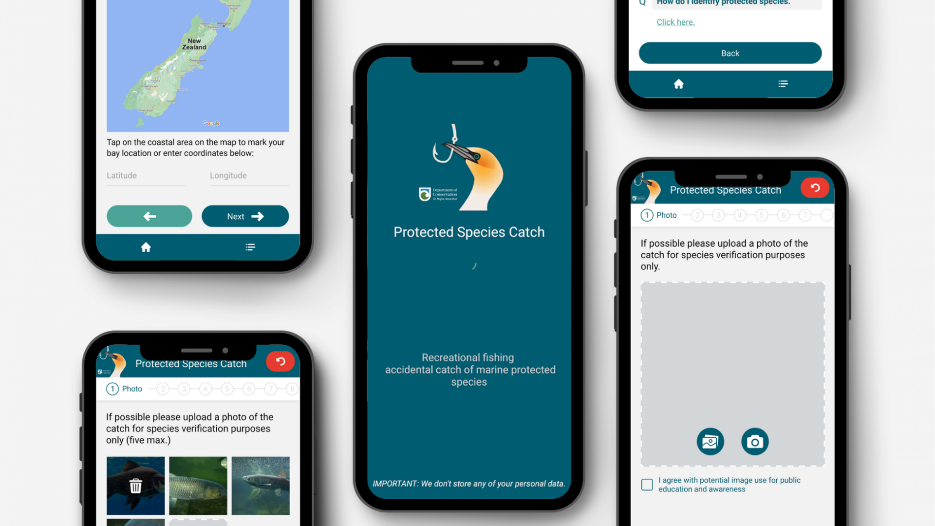 Department of Conservation photo